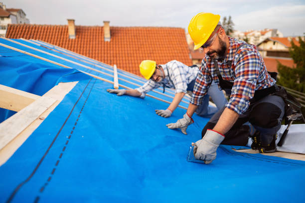 Best Roof Ventilation Installation  in Fulda, MN